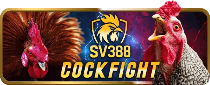Xem trước trận đấu mới nhất của k9bet chính thức