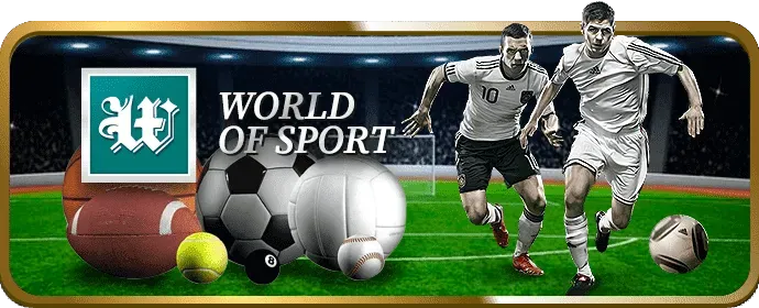 Tổng quan nền tảng k9bet chính thức